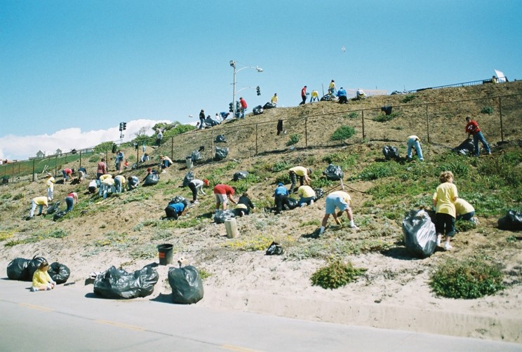 Bluffs Restoration Redondo Beach