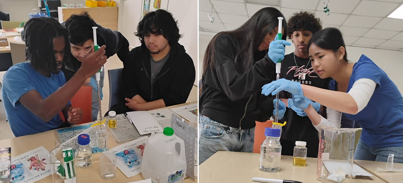 Students processing water samples in the new Teach and Test at Gardena Willows Wetland Preserve.